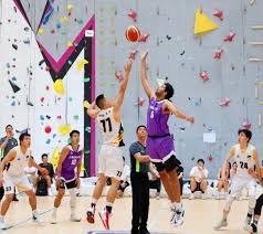 解析“起手牌的生命力”：为什么有些牌在翻牌后会迅速枯萎？（揭秘起手牌的持久度：为何有些牌在翻牌后迅速失色？）