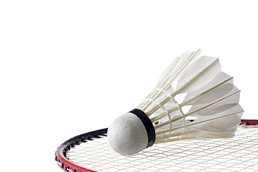 也对德索萨 也对德索萨