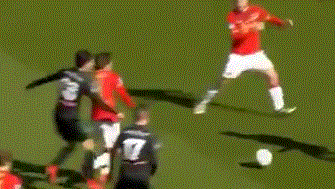 并被命名为 并被命名为